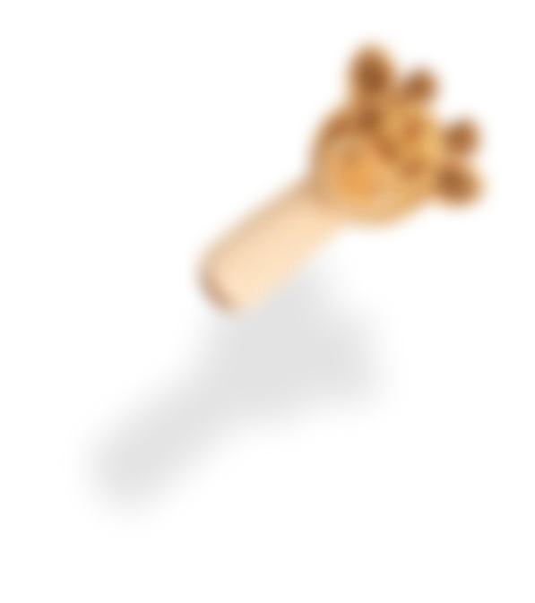 zirafa